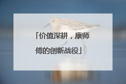 价值深耕，康师傅的创新战役